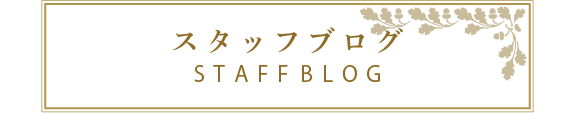 スタッフブログ